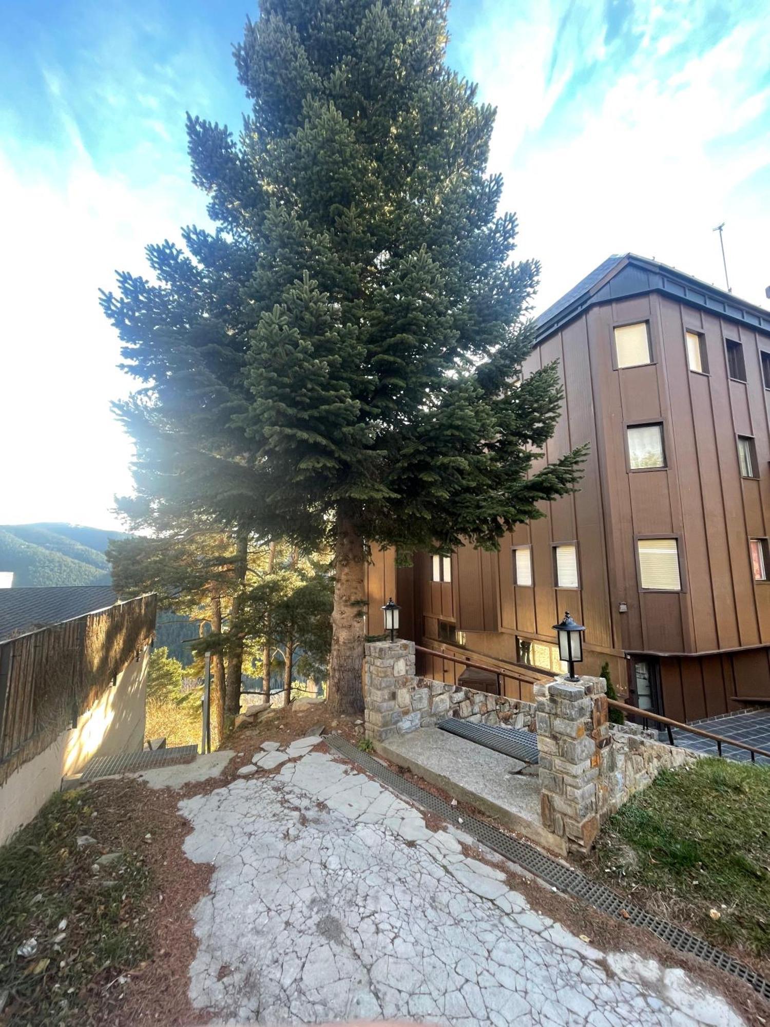 Apartamento Acogedor En La Molina, 2Hab, Wi Fi La Molina  Buitenkant foto
